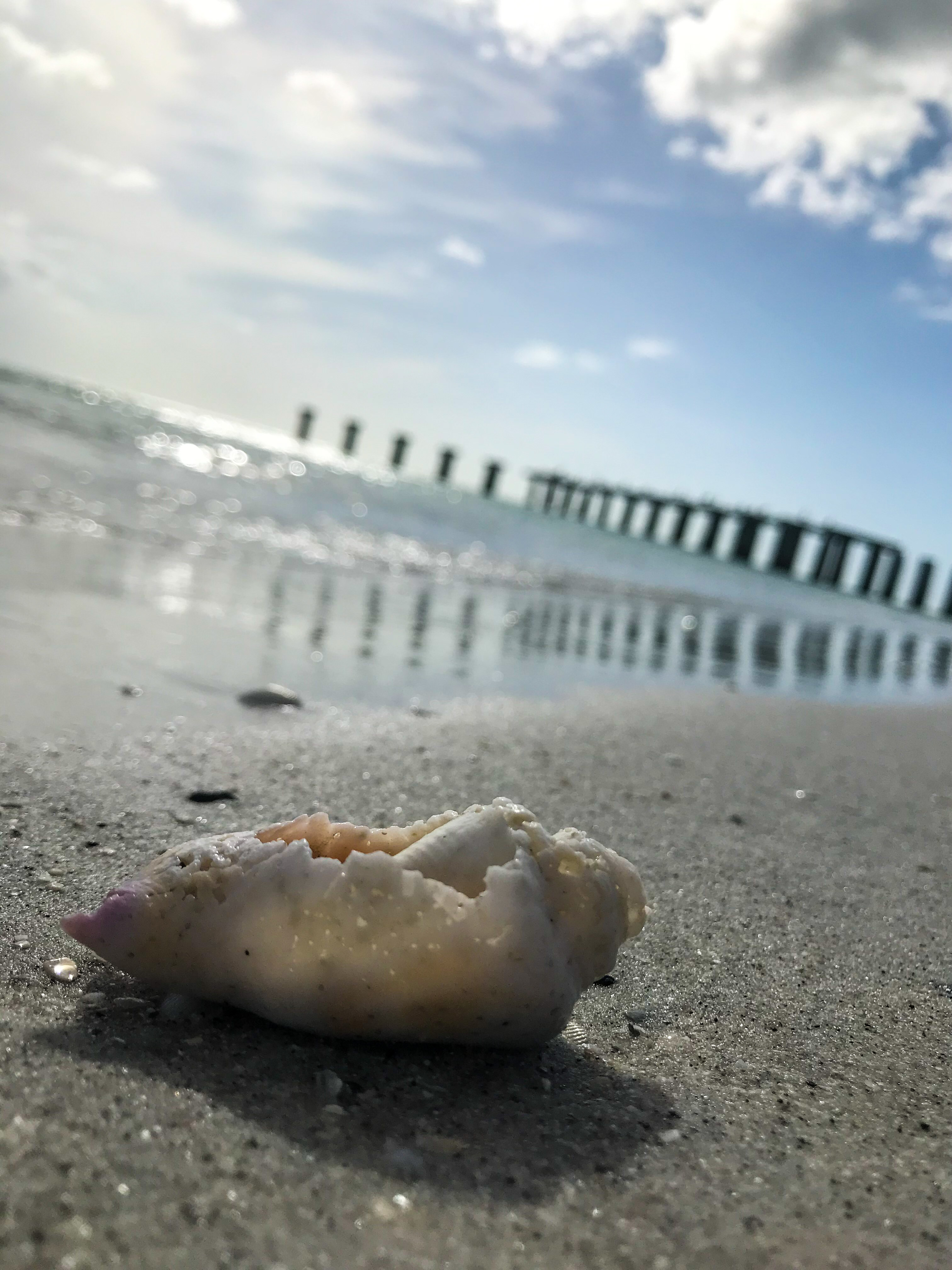 Gasparilla Island shoreline near the historic island golf experience
